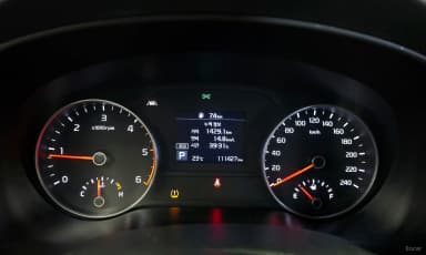 Sportage The Bold