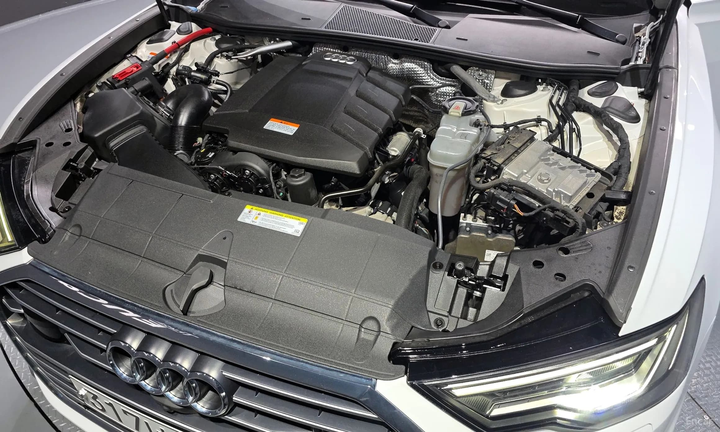 A6 (C8)