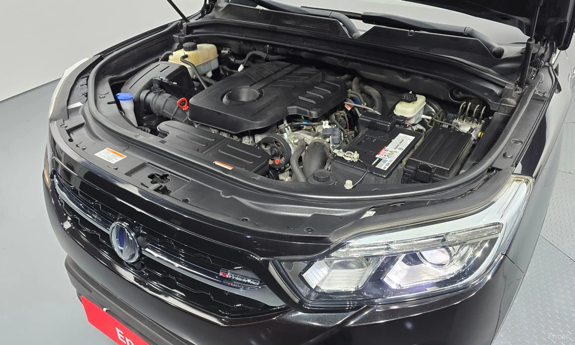 Rexton Sports