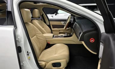 New XF