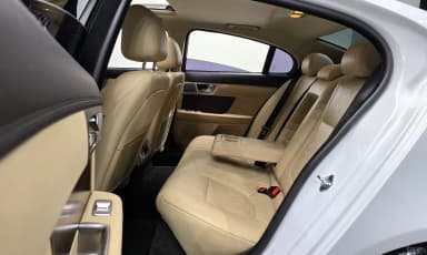 New XF