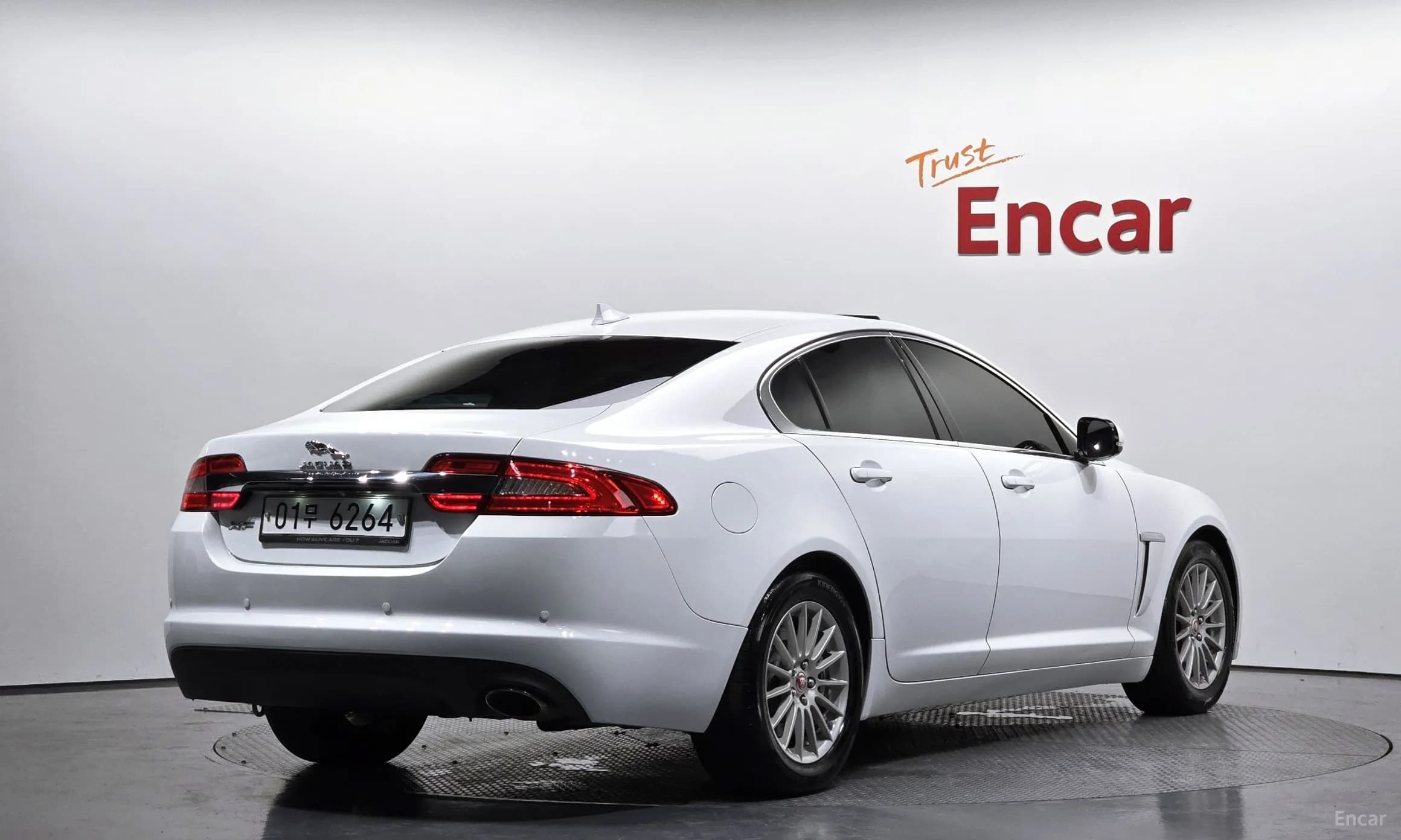 New XF