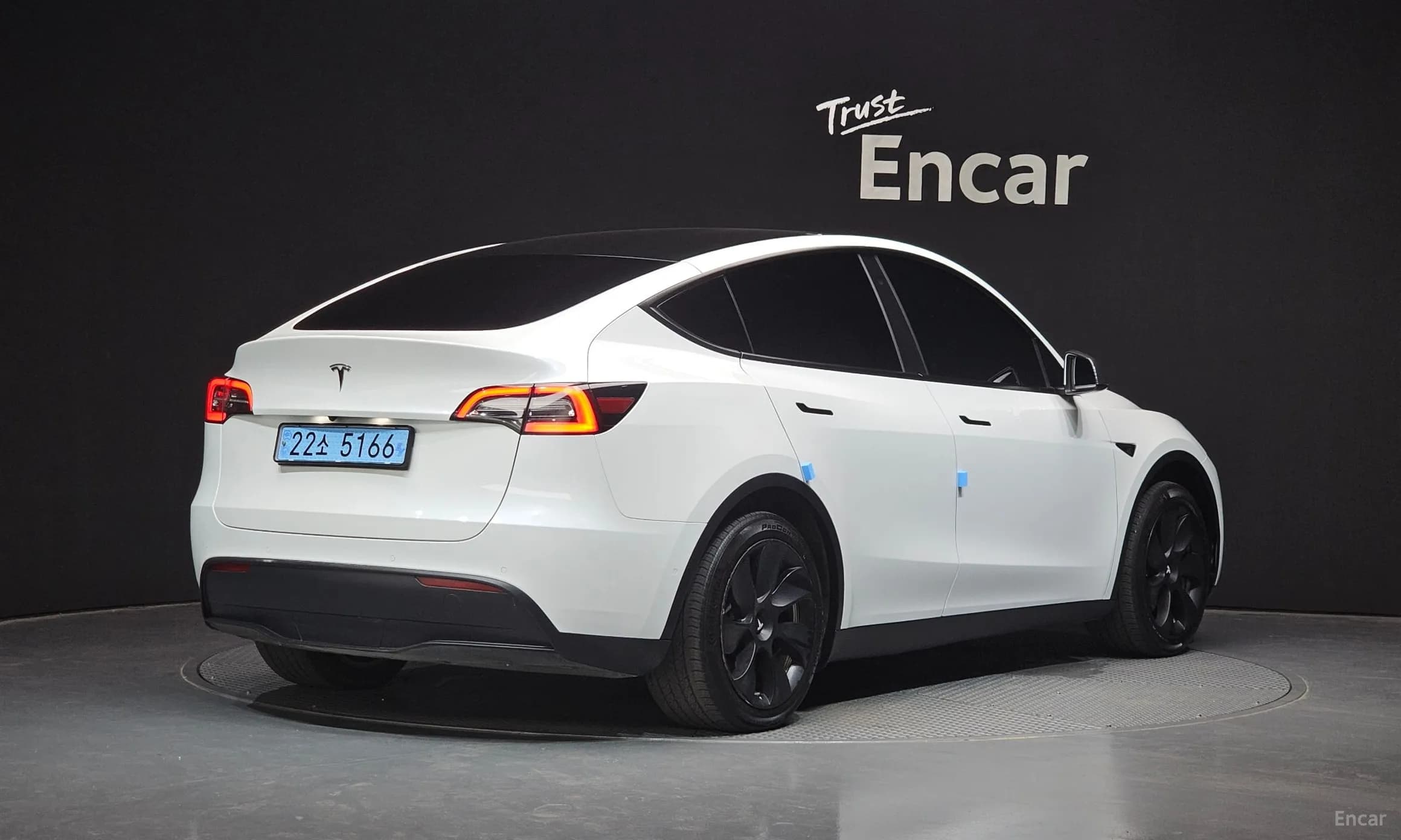 Model Y