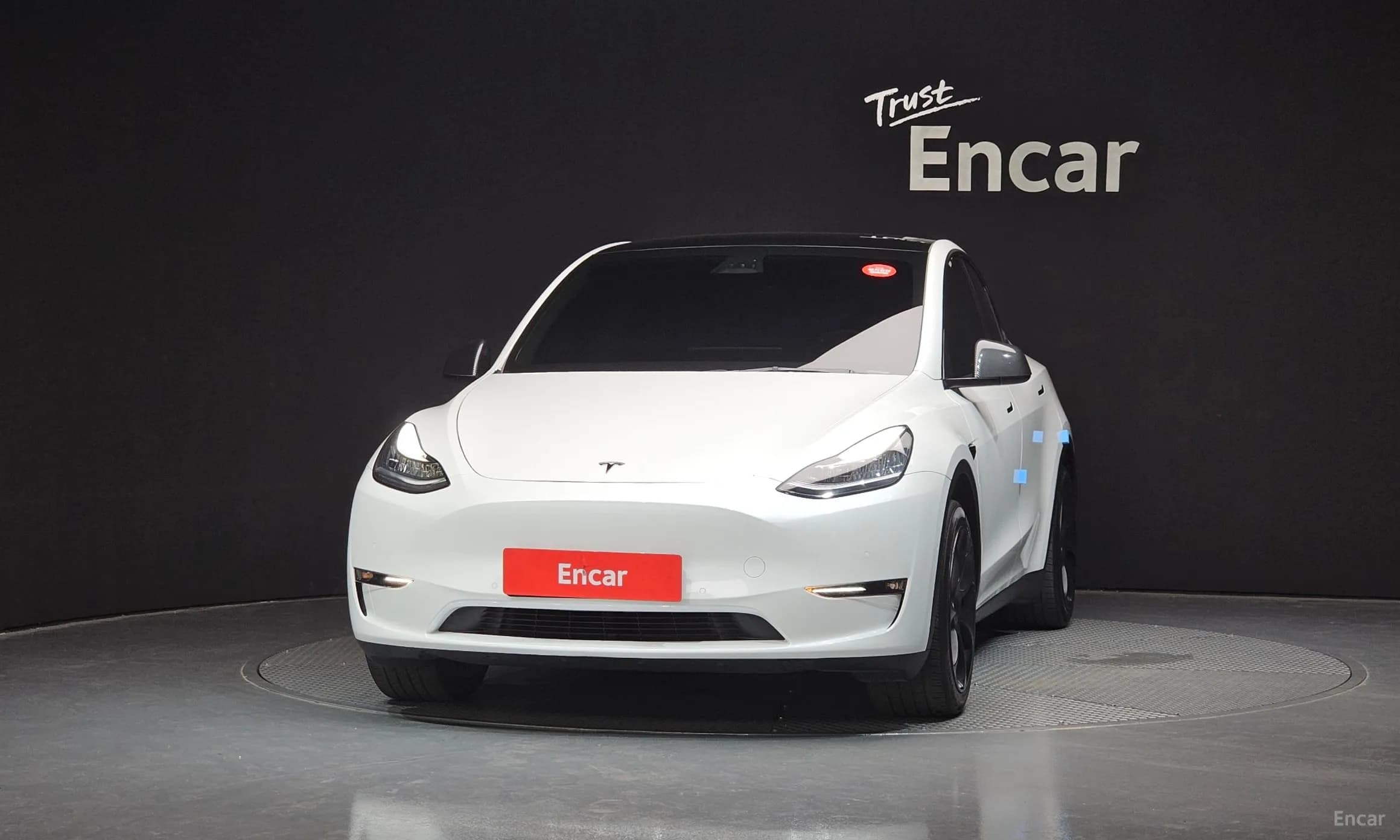 Model Y