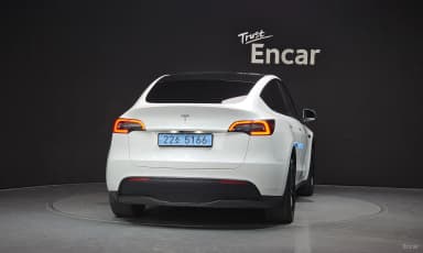 Model Y