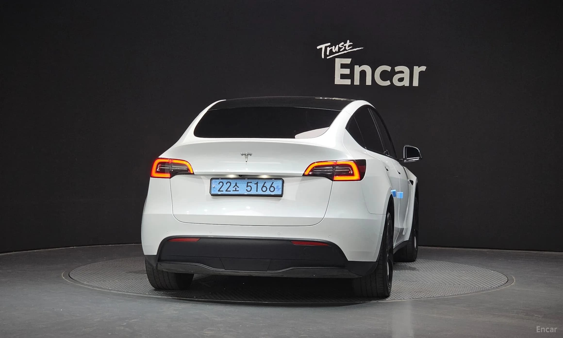 Model Y