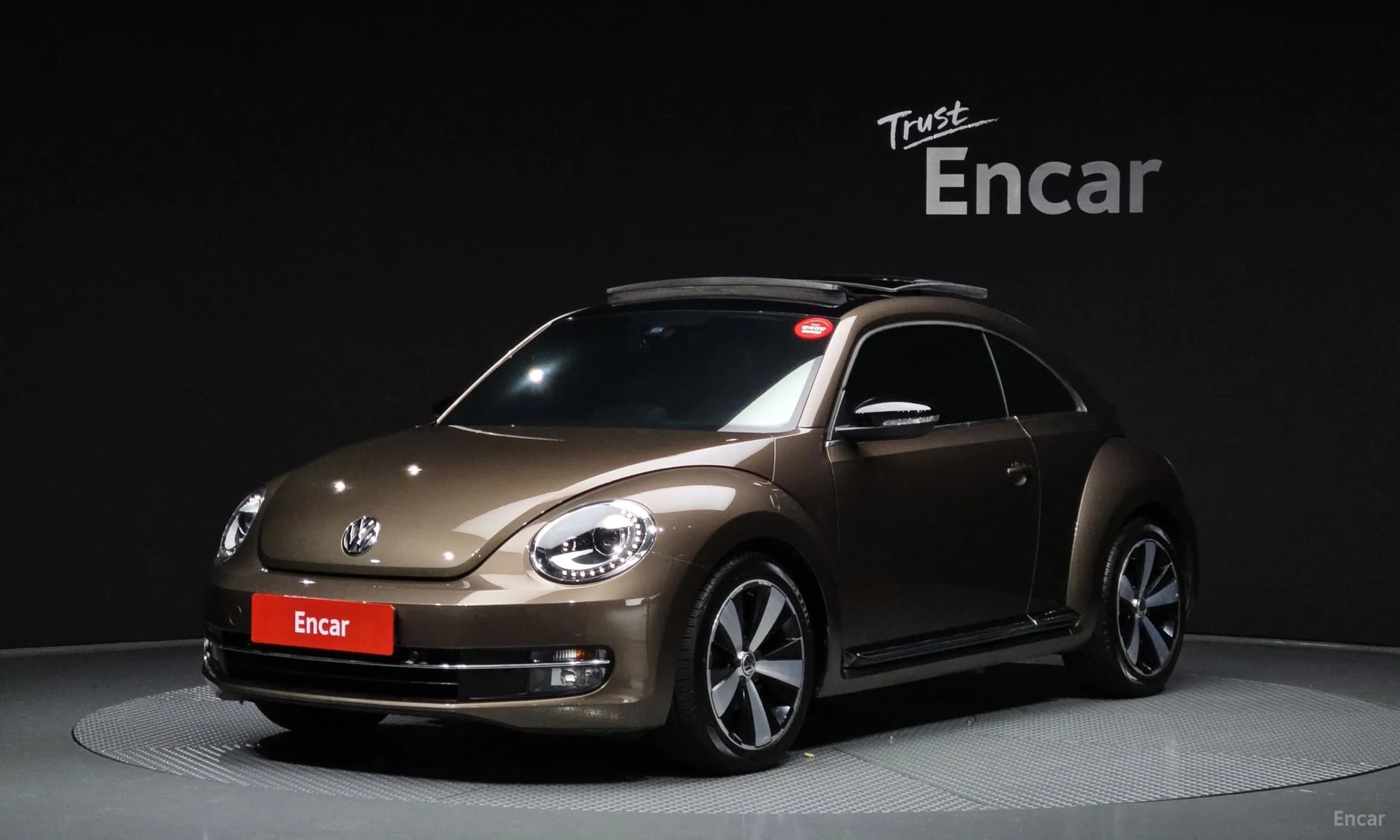 The Beetle