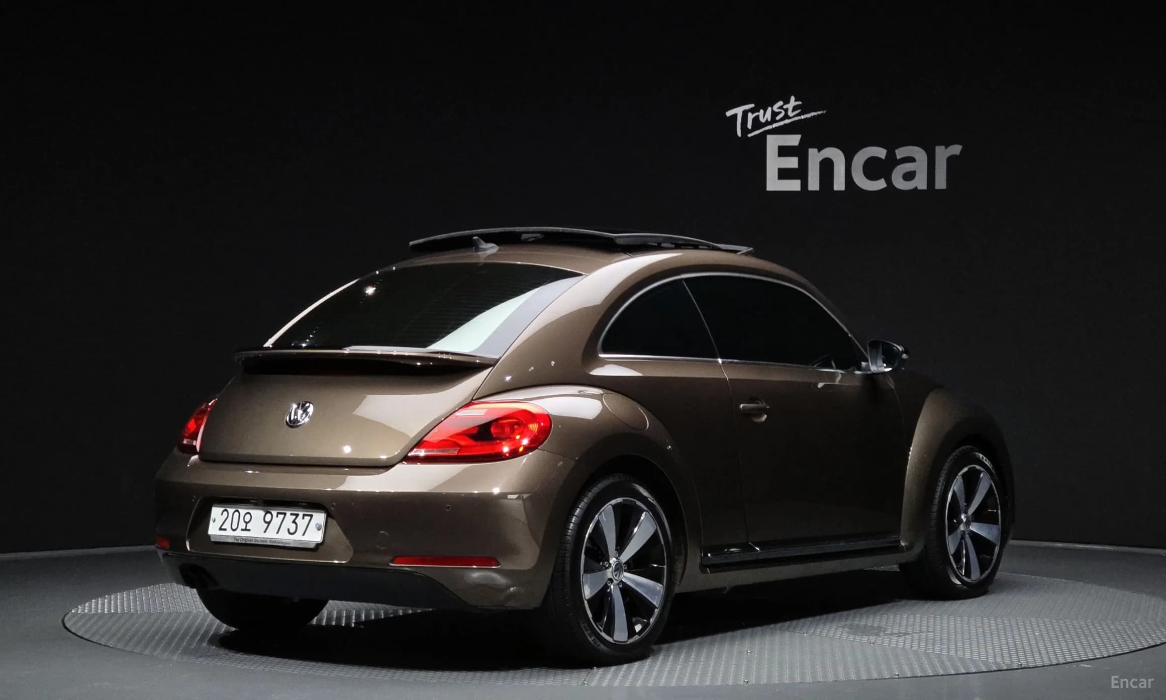 The Beetle