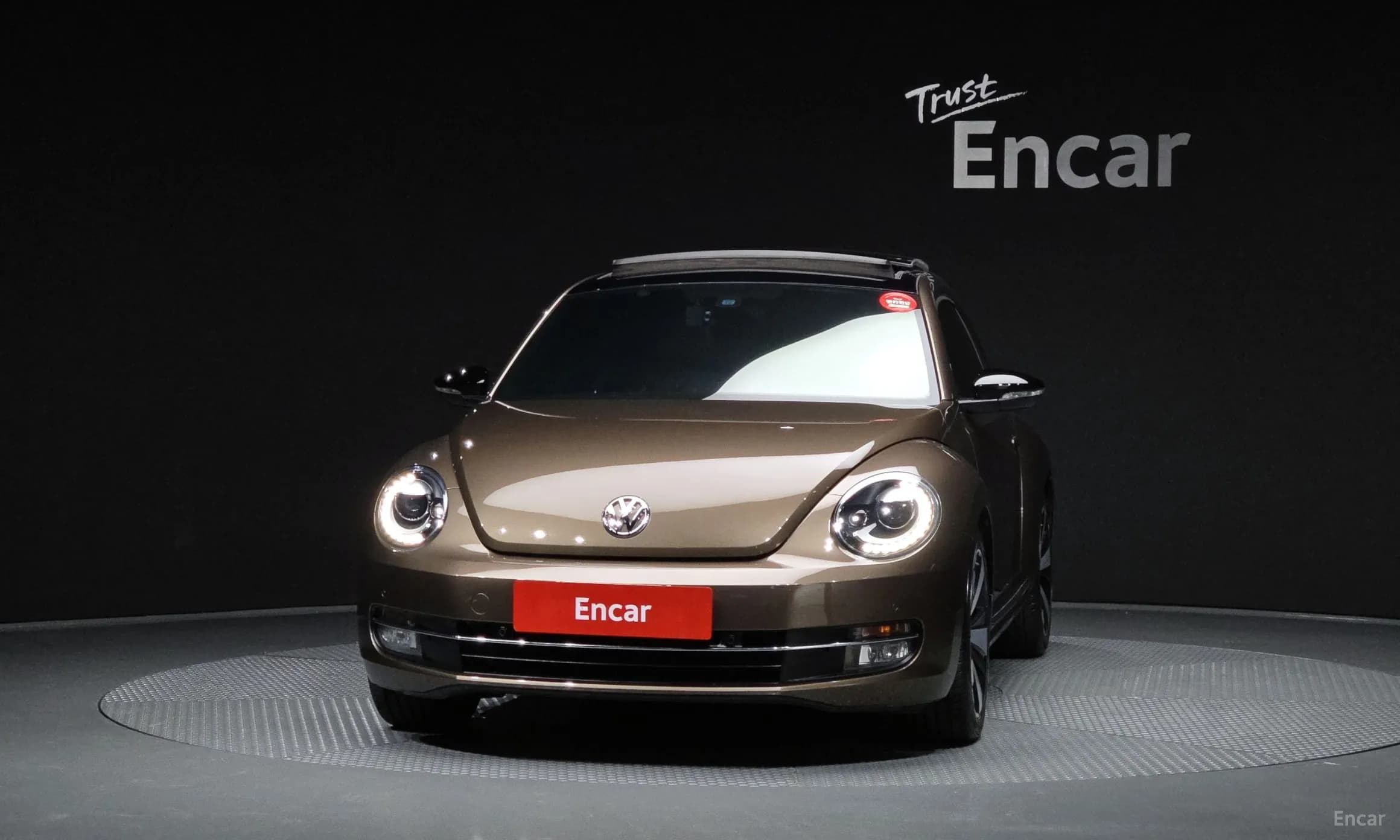 The Beetle