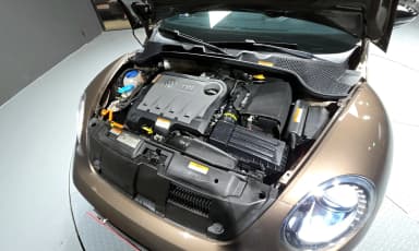 The Beetle