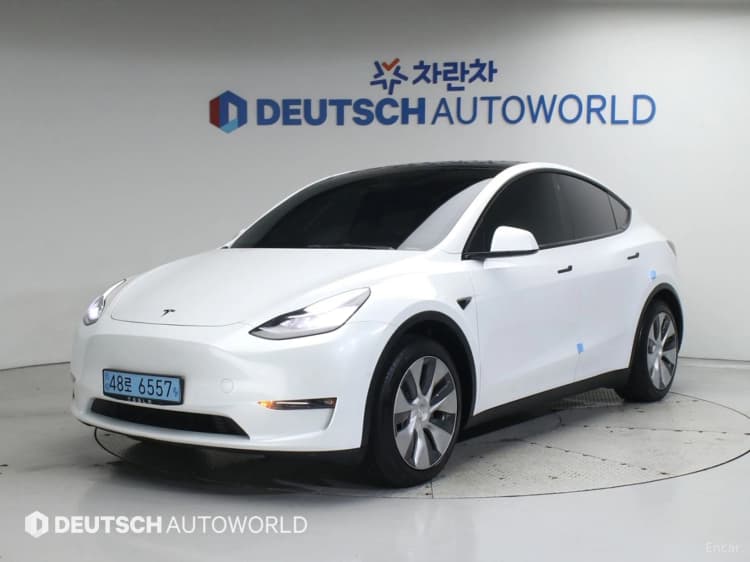 Model Y