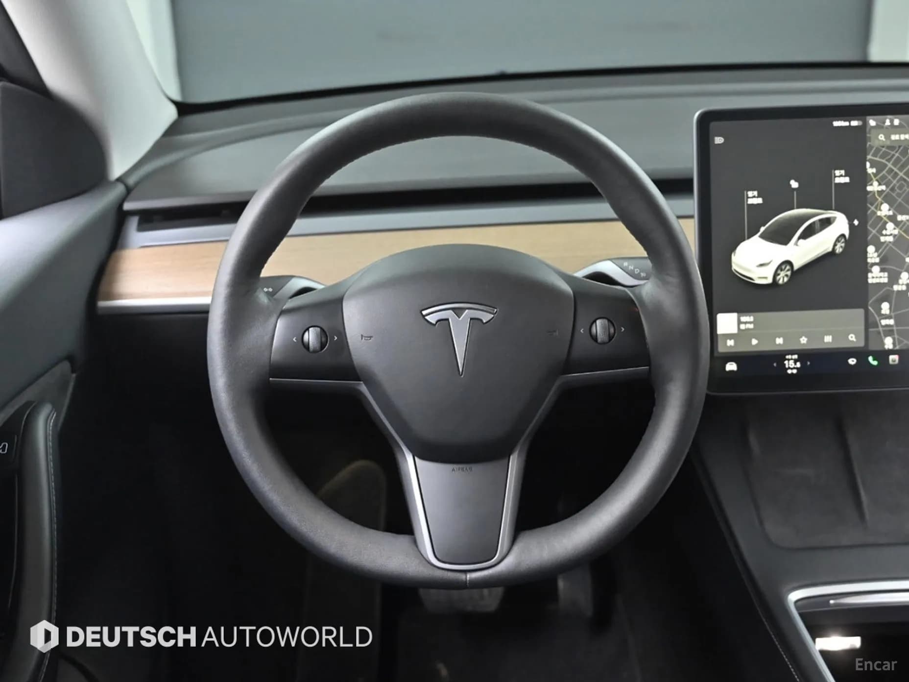 Model Y