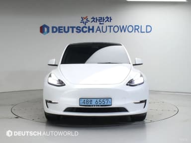 Model Y