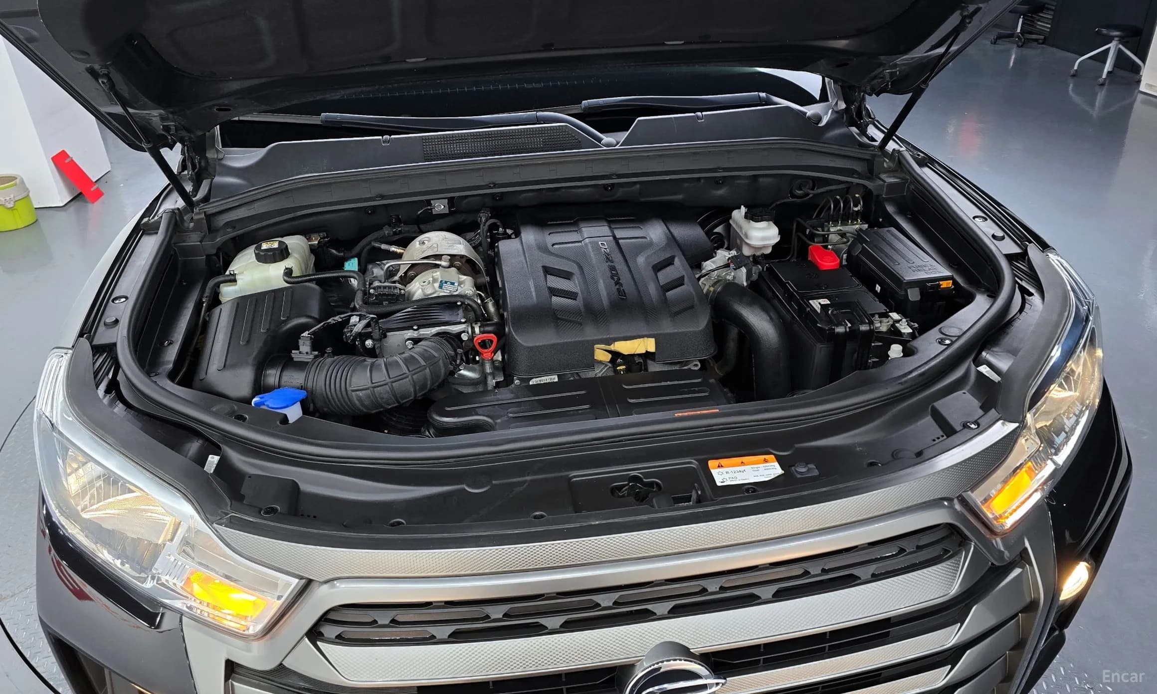 Rexton Sports