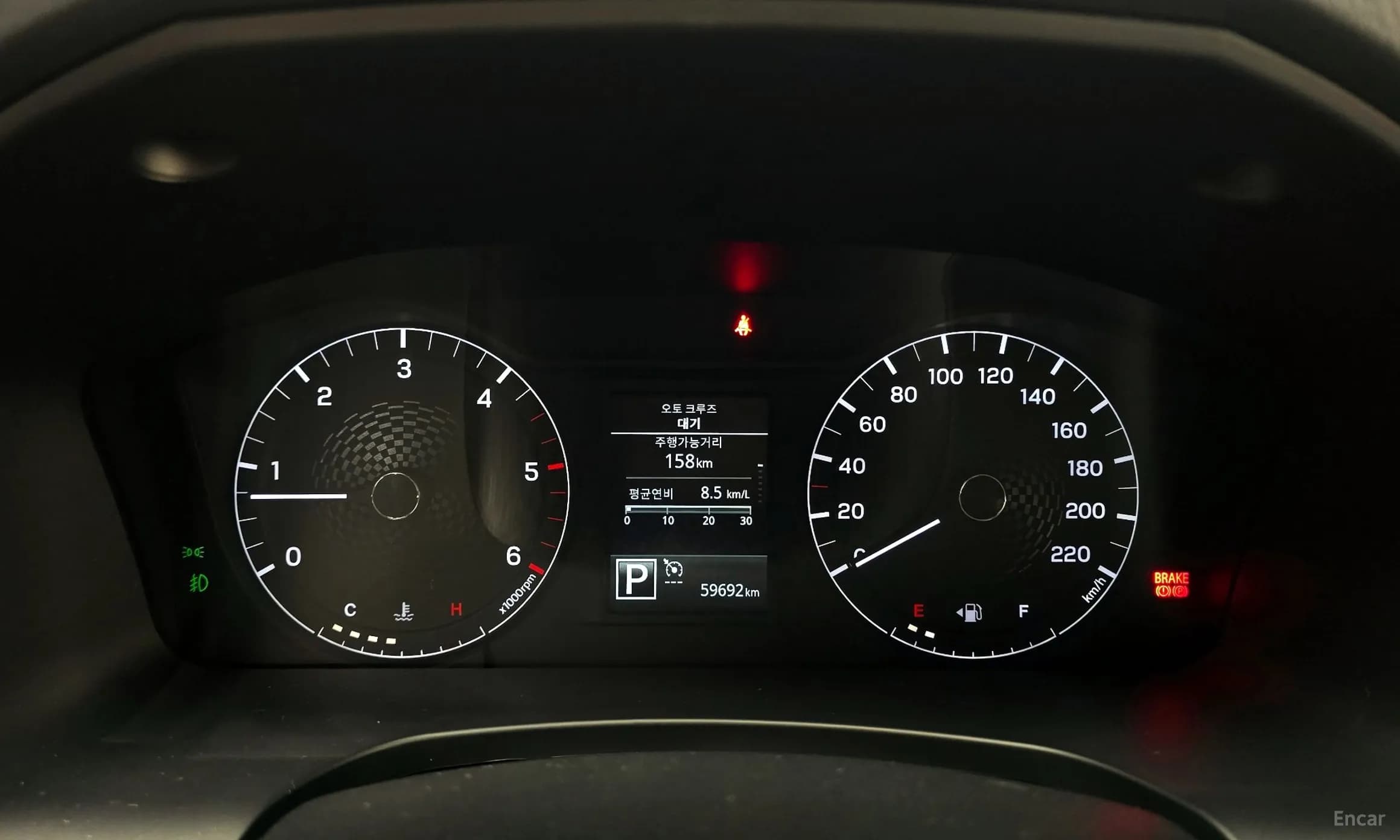 Rexton Sports