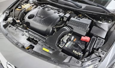 Maxima (A36)
