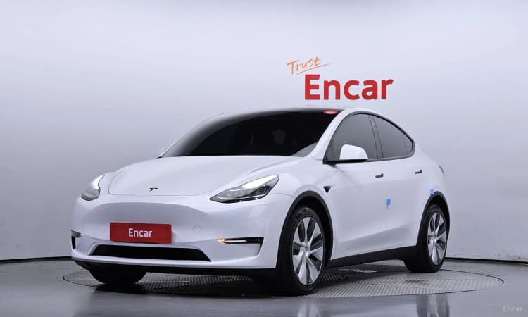 Model Y
