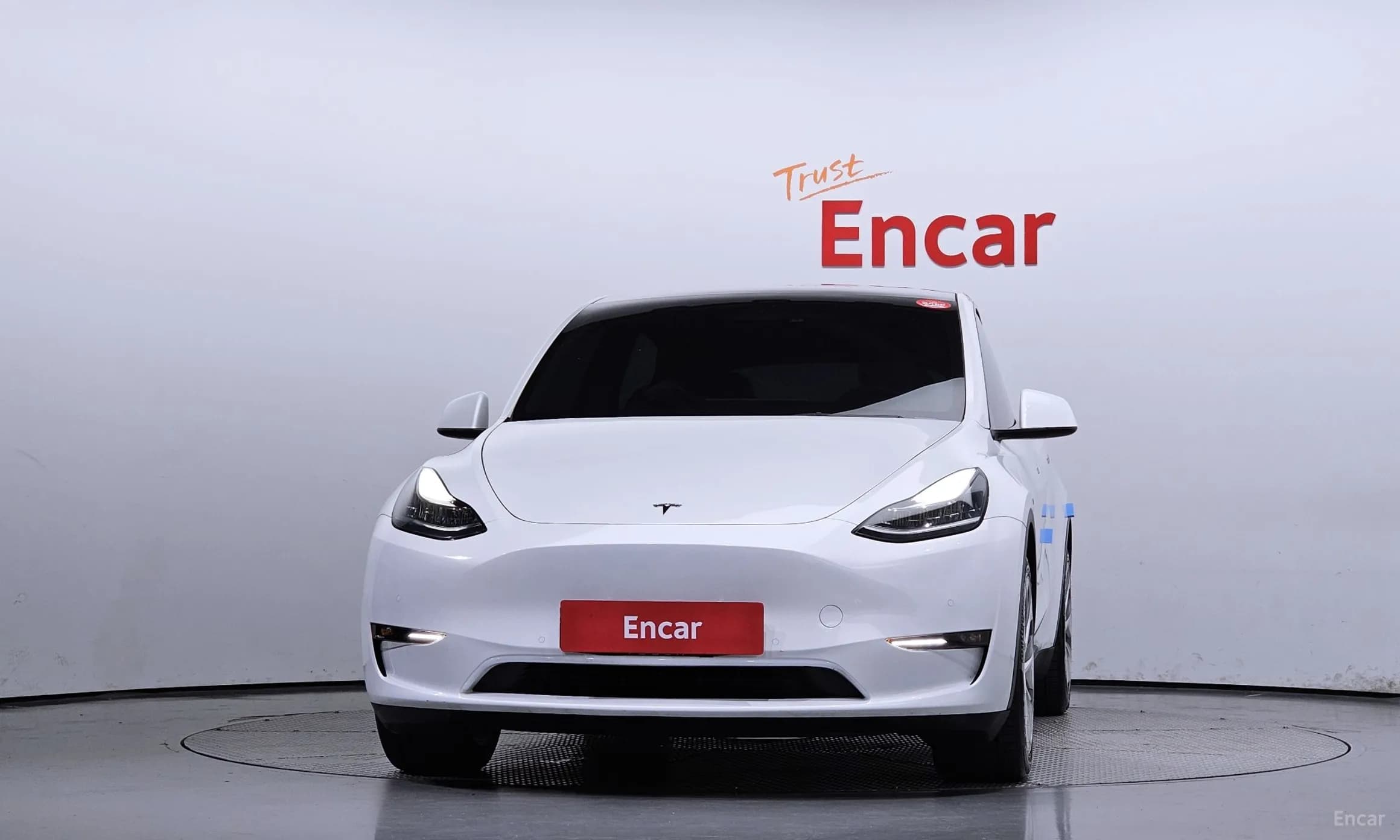 Model Y