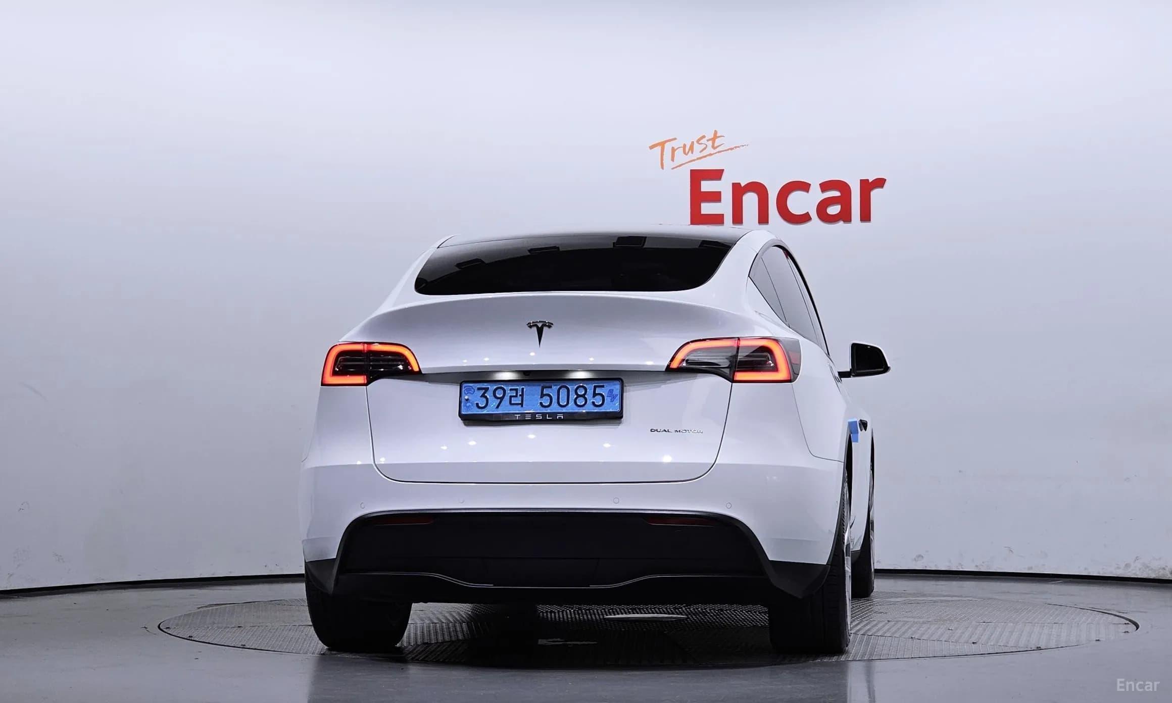 Model Y