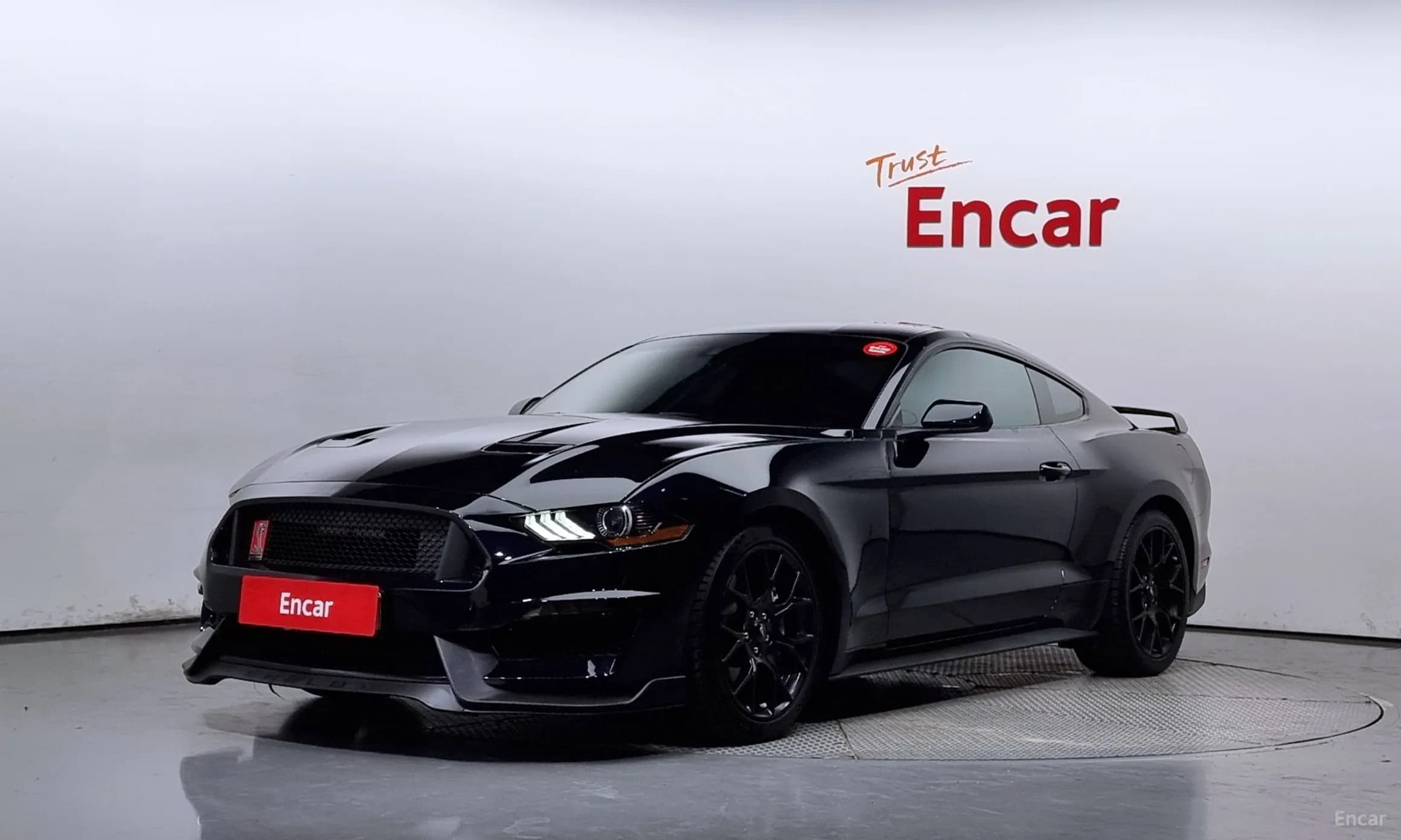 Mustang