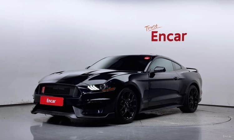 Mustang