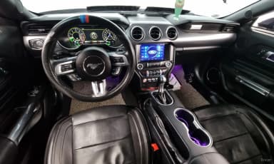 Mustang