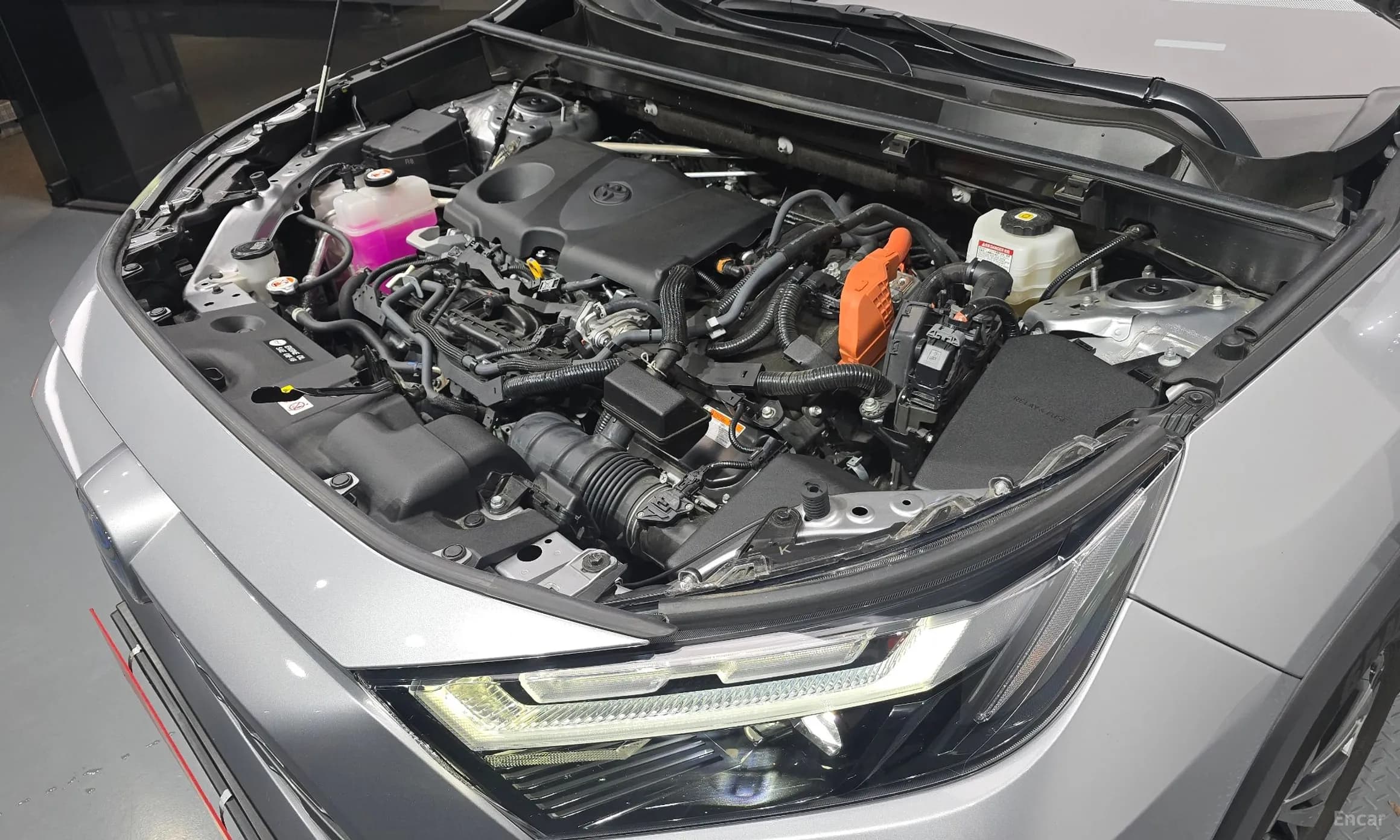RAV4 5th Generation