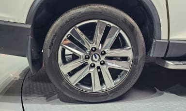 Rexton Sports