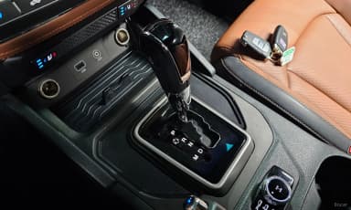 Rexton Sports