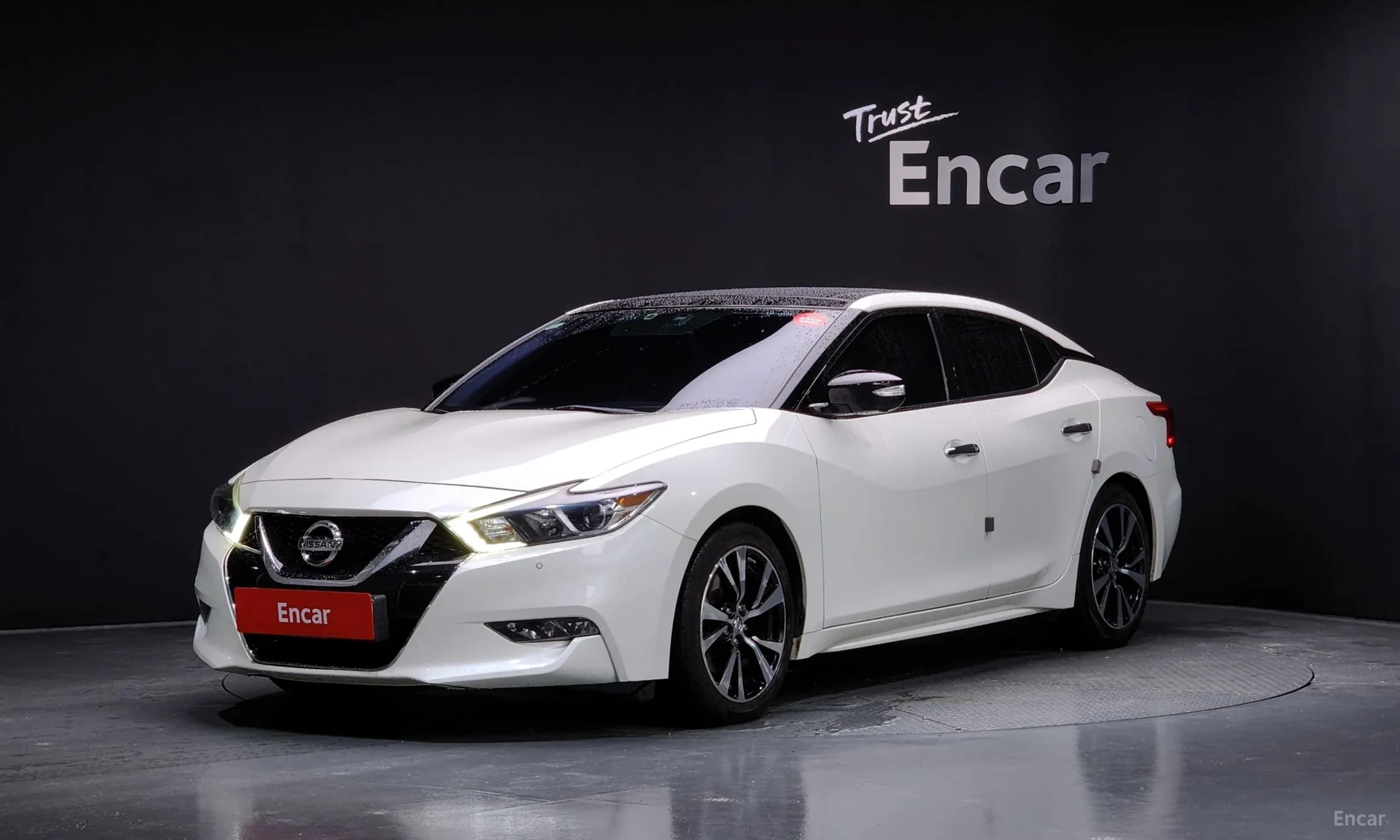 Maxima (A36)