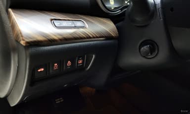 Maxima (A36)