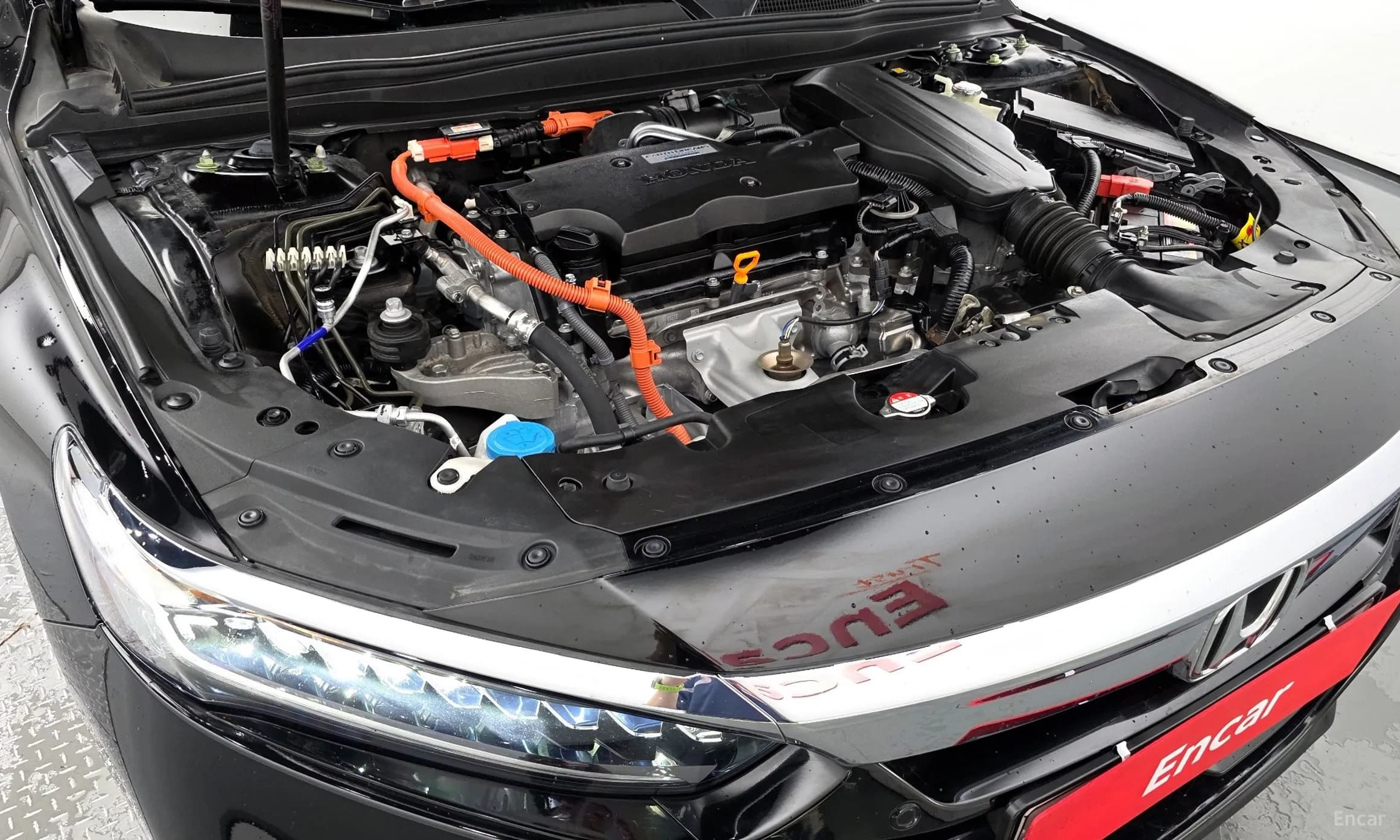 Accord 10th Generation