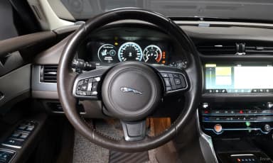 XF (x260)