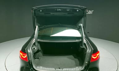 XF (x260)