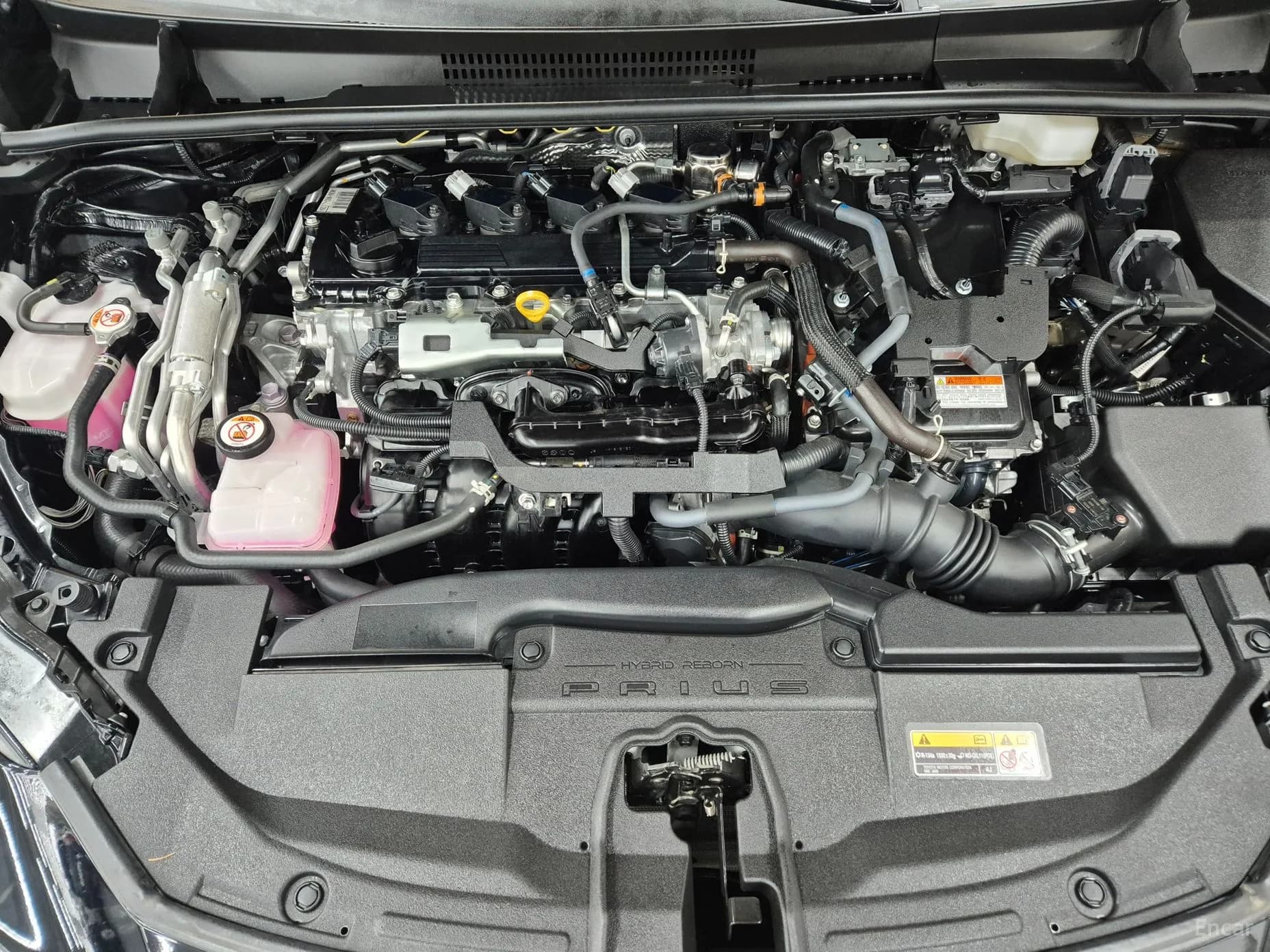 Prius 5th Generation