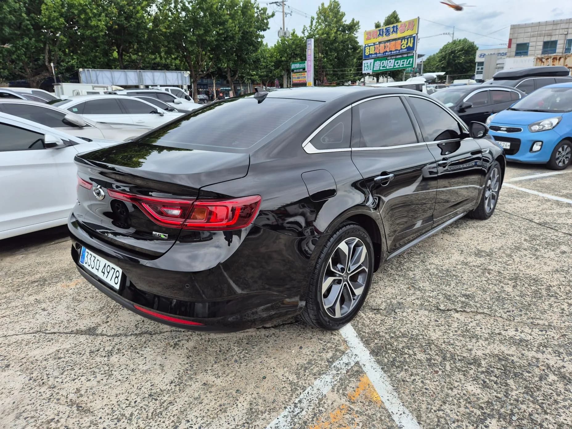SM6