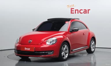 The Beetle