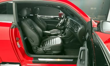 The Beetle