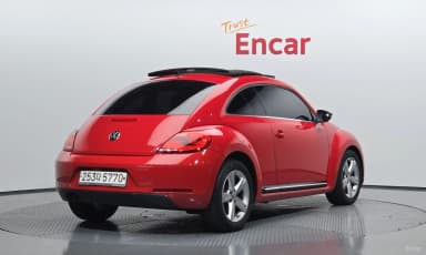 The Beetle