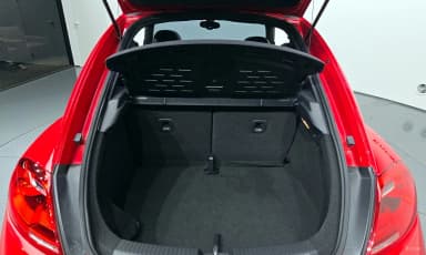The Beetle