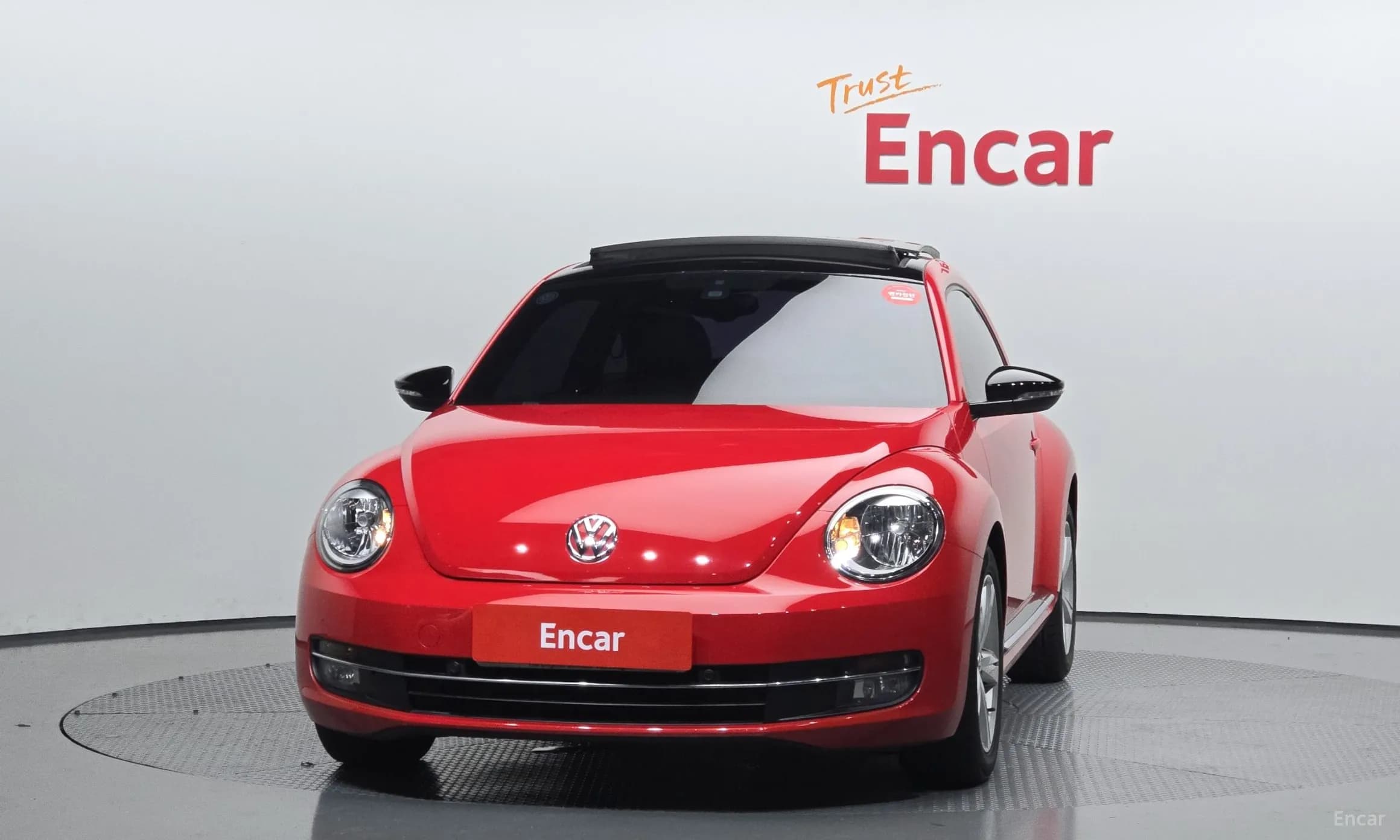 The Beetle