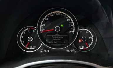 The Beetle