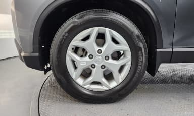 Rexton Sports