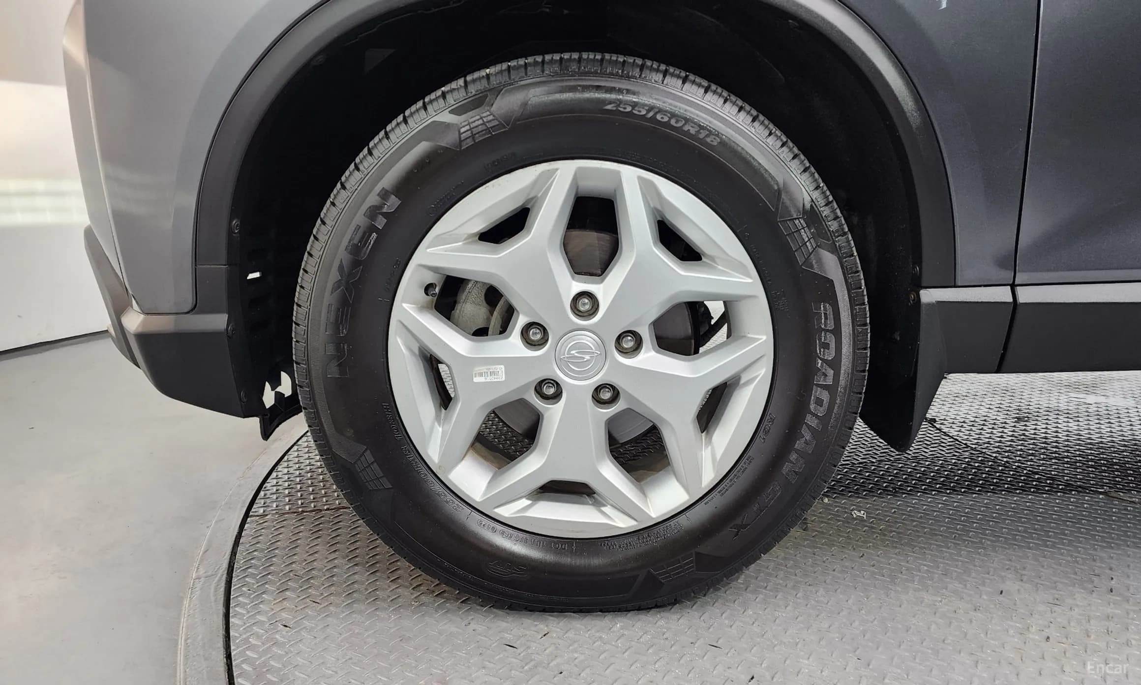Rexton Sports