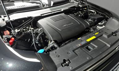 Defender (L663)