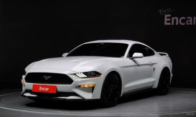 Mustang