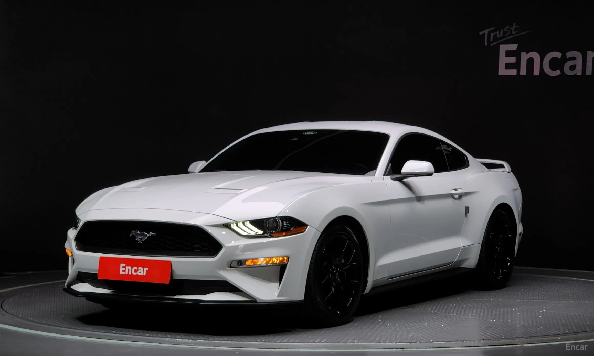 Mustang
