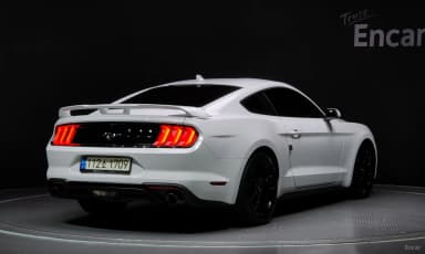 Mustang