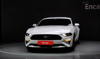 Mustang