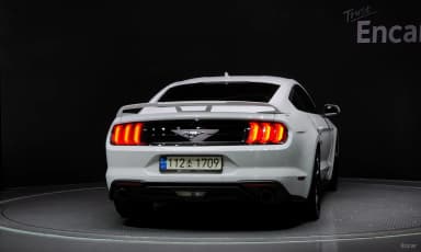 Mustang